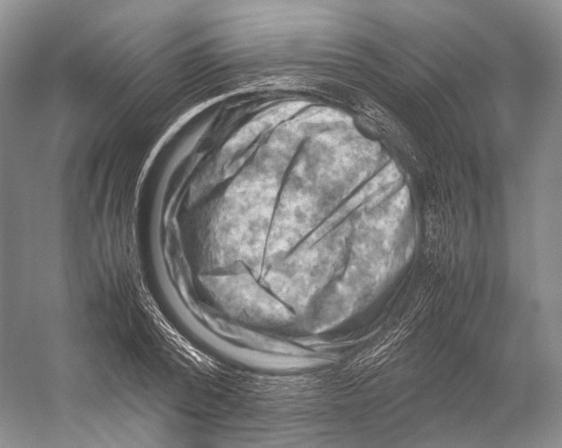 X0000053130784200508081317