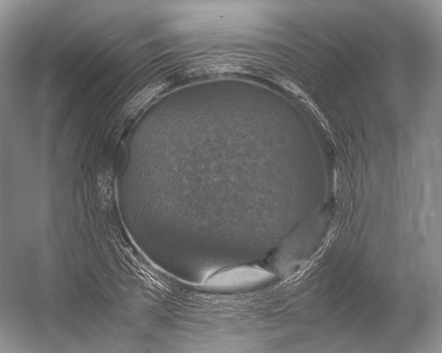 X0000053130785200508081317