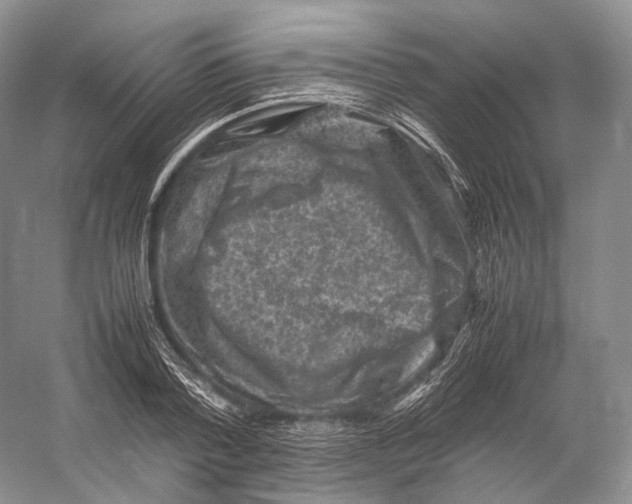 X0000053130788200508081317