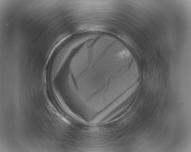 X0000053130790200508081317