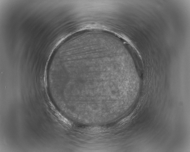 X0000053130791200508081317