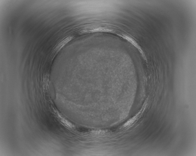 X0000053130793200508081317