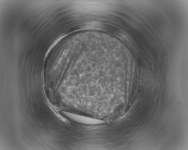 X0000053130796200508081316