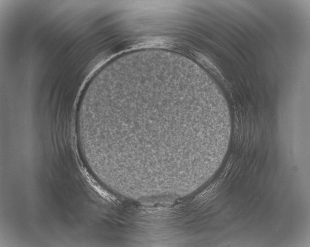 X0000053130800200508081316
