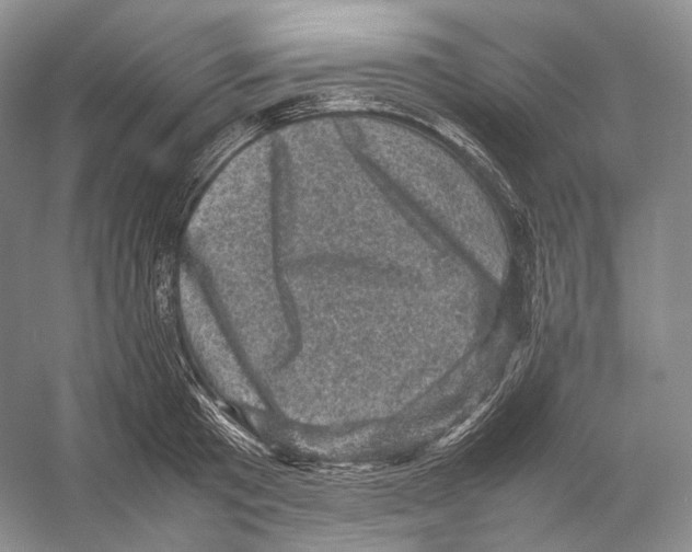 X0000053130801200508081316