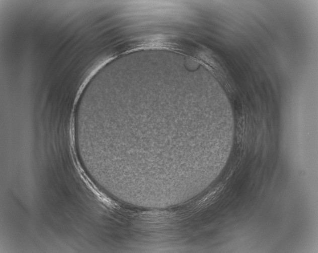 X0000053130804200508081316