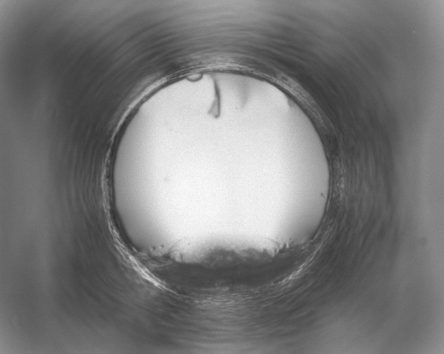 X0000053130806200508081316