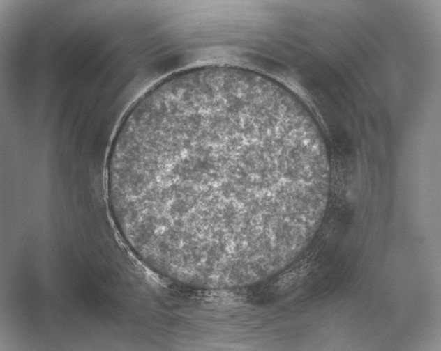 X0000053130807200508081316