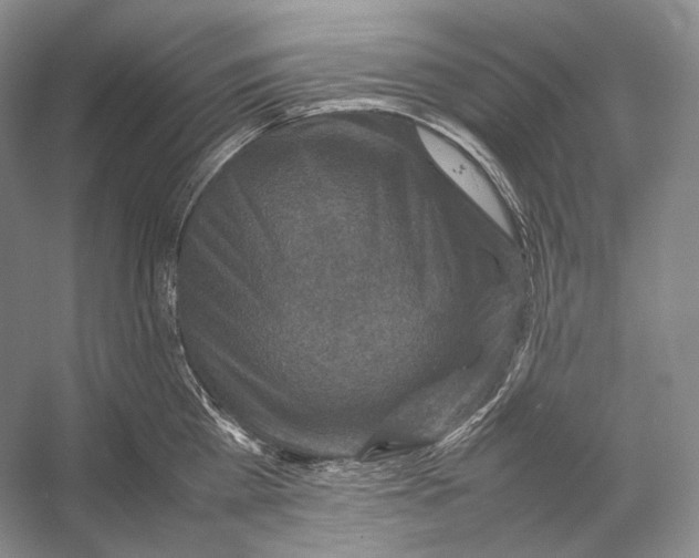 X0000053130809200508081316