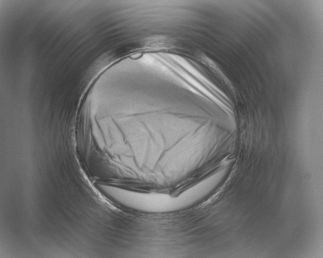 X0000053130810200508081316