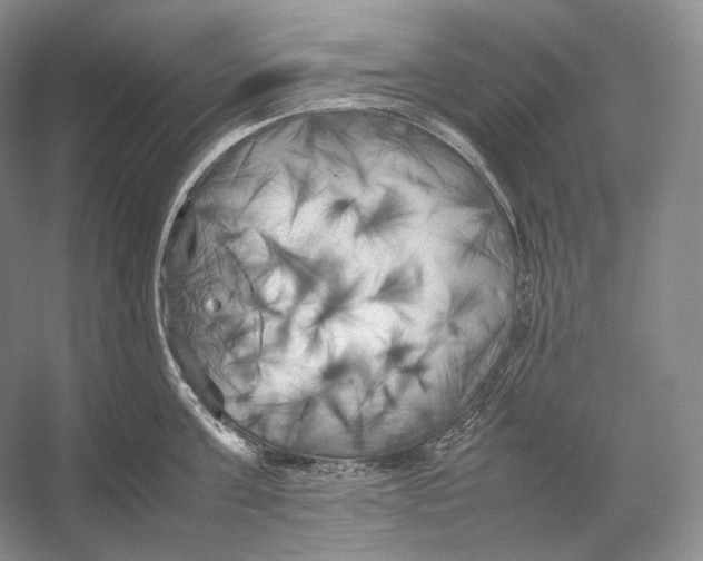 X0000053130811200508081316