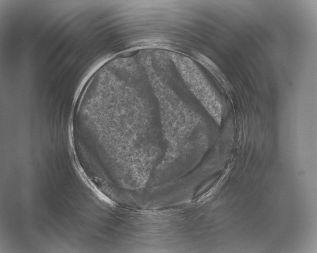 X0000053130812200508081316