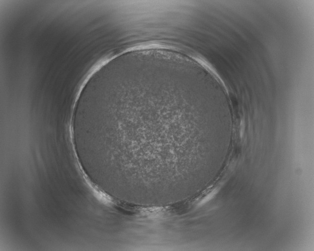 X0000053130813200508081316