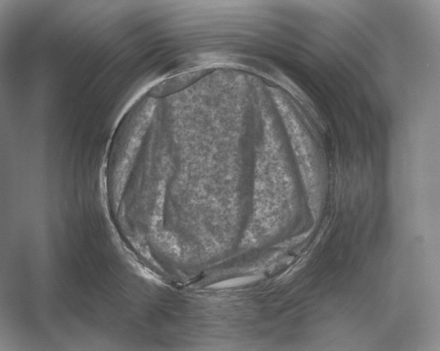 X0000053130814200508081316