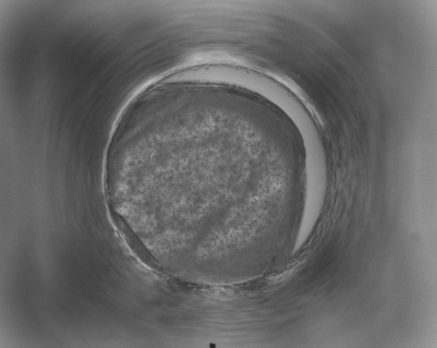 X0000053130815200508081316