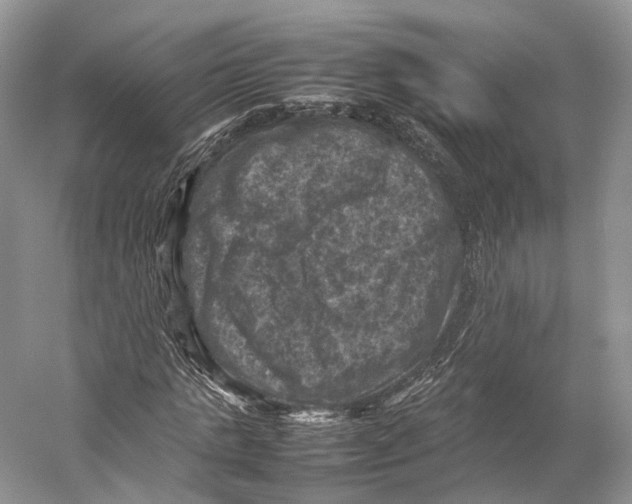 X0000053130821200508081315