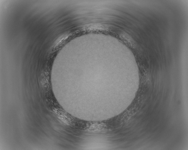 X0000053130824200508081315