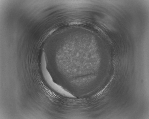 X0000053130825200508081315