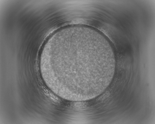 X0000053130832200508081316