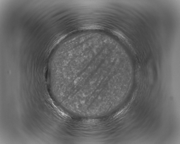 X0000053130833200508081316