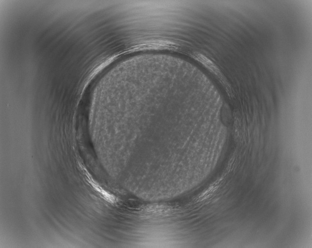 X0000053130834200508081316