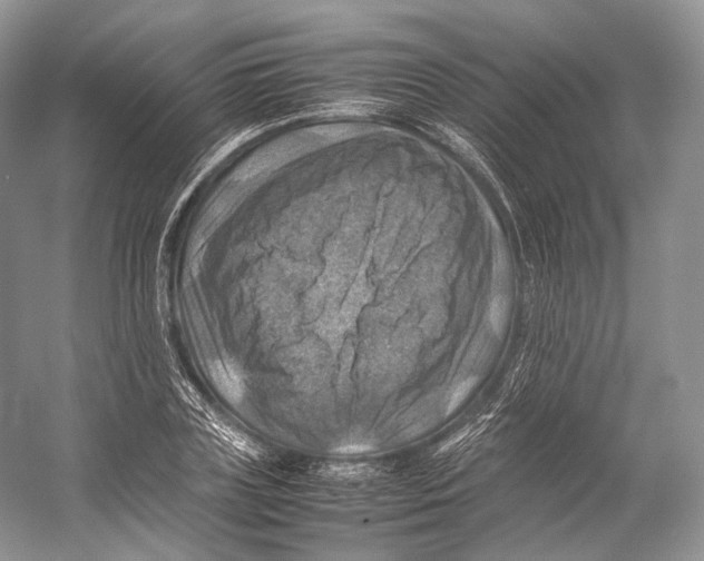 X0000053130835200508081316
