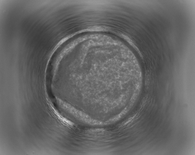 X0000053130837200508081316