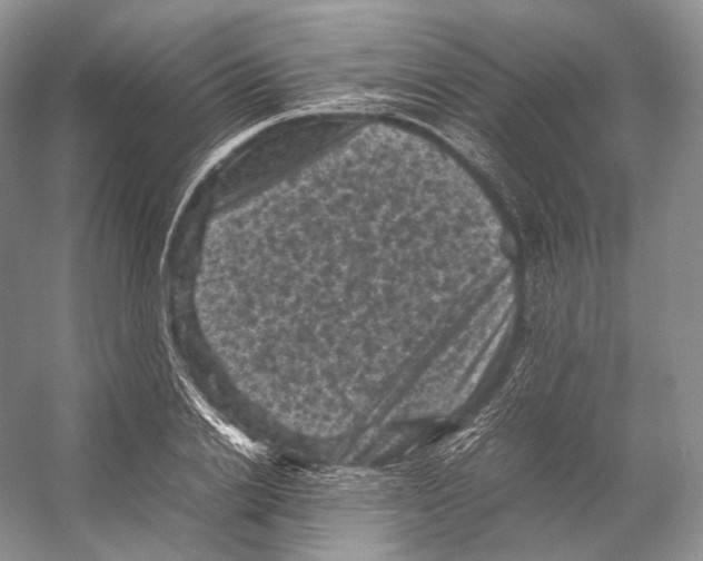 X0000053130838200508081316