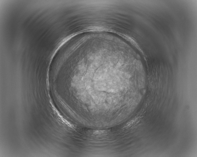 X0000053130839200508081316