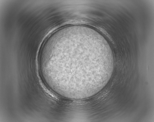 X0000053130840200508081316