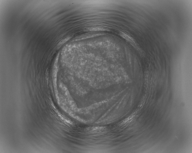 X0000053130841200508081316