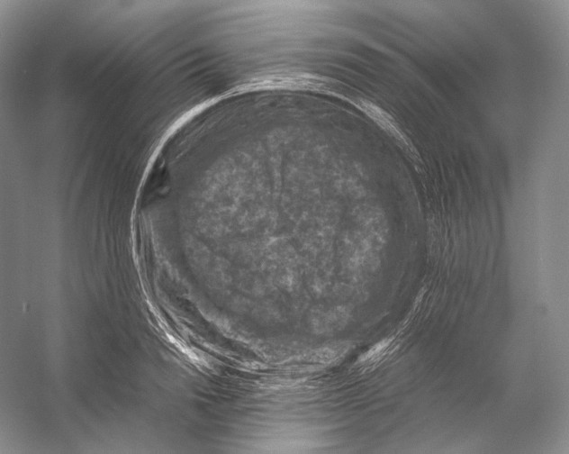 X0000053130846200508081316