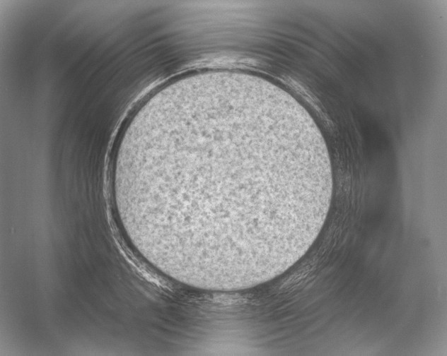 X0000053130848200508081316