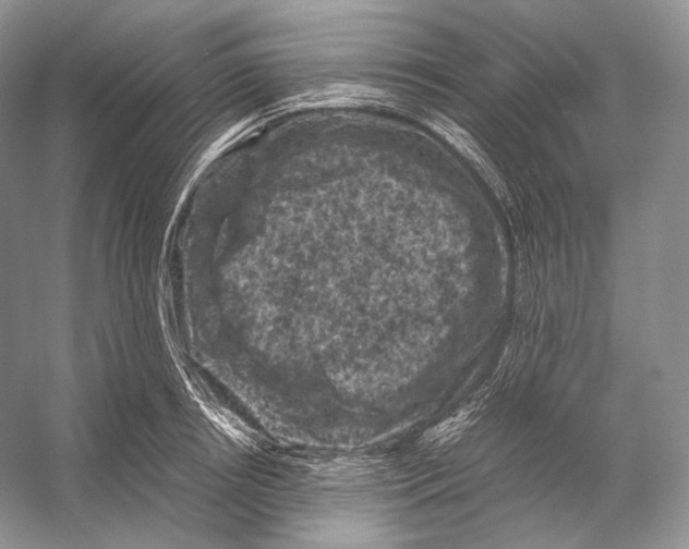 X0000053130850200508081316