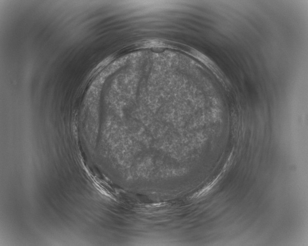 X0000053130857200508081316