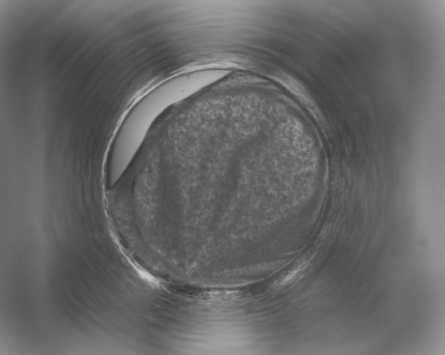 X0000053130858200508081316
