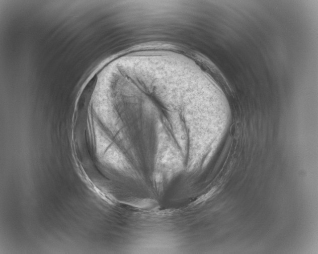 X0000053130860200508081316