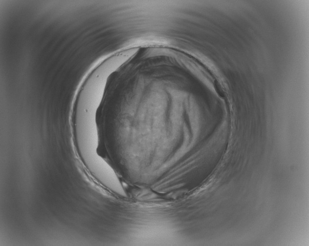 X0000053130864200508081316