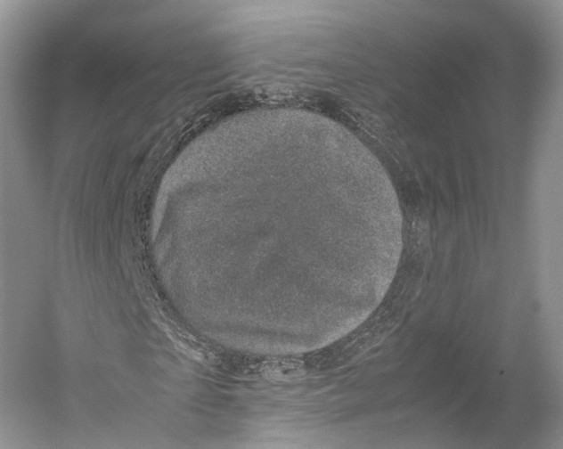 X0000053130865200508081315
