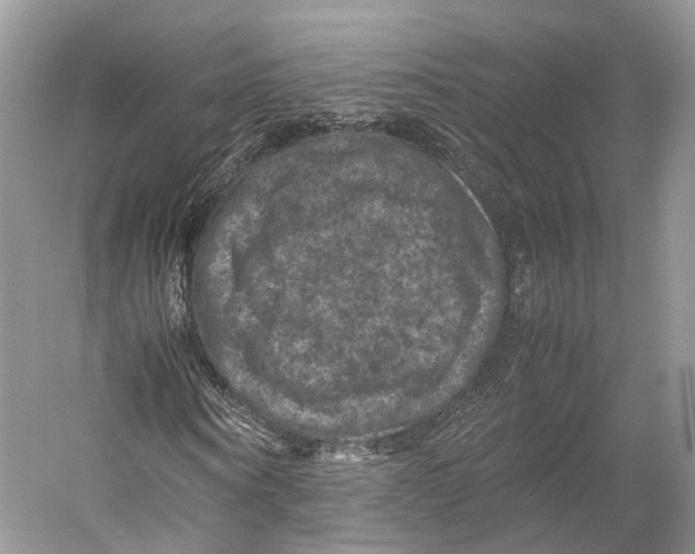 X0000053130866200508081315