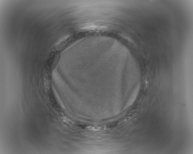 X0000053130869200508081315