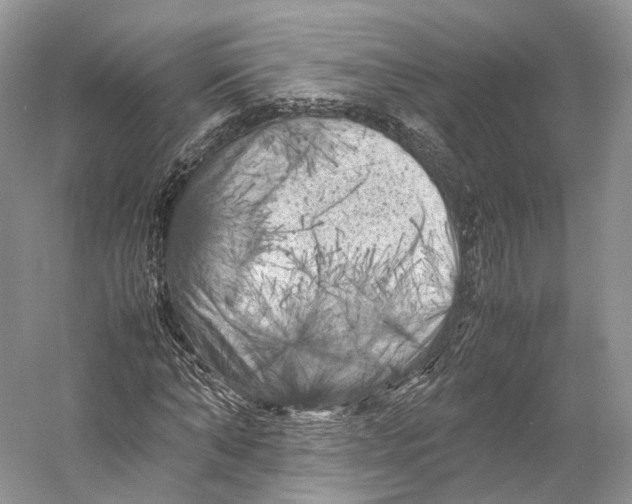 X0000053130870200508081315