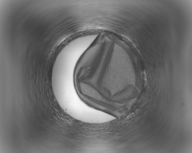 X0000053130871200508081315