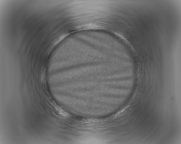 X0000053130873200508081315