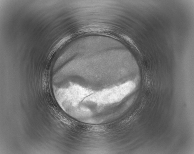 X0000053130874200508081315