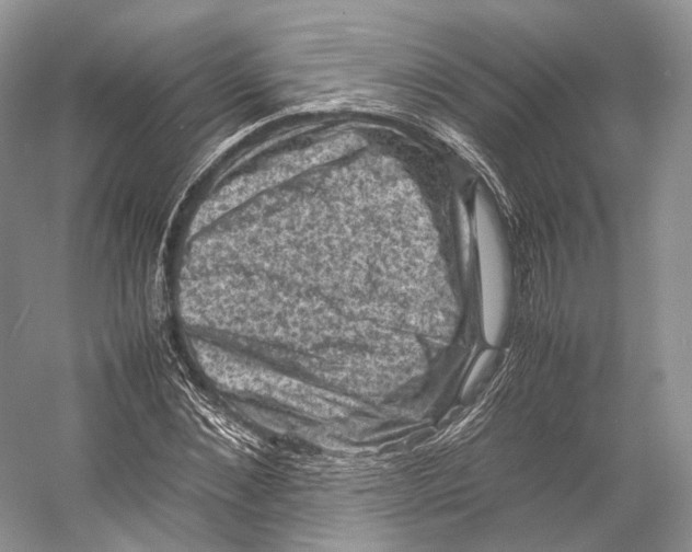 X0000053130876200508081315