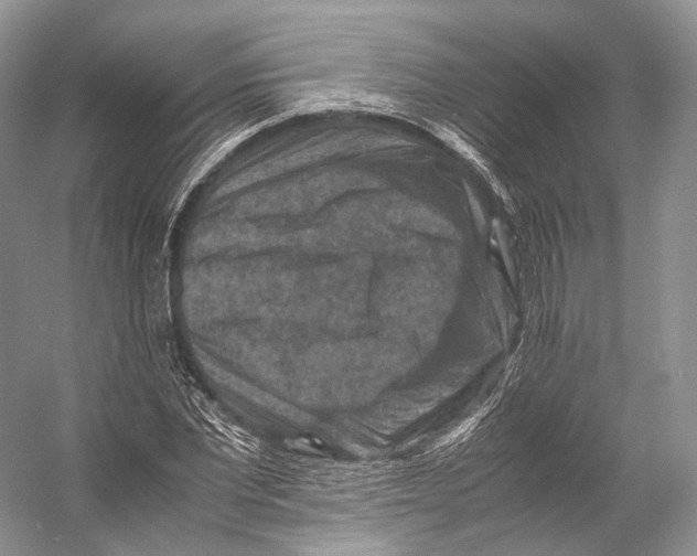 X0000053130877200508081315