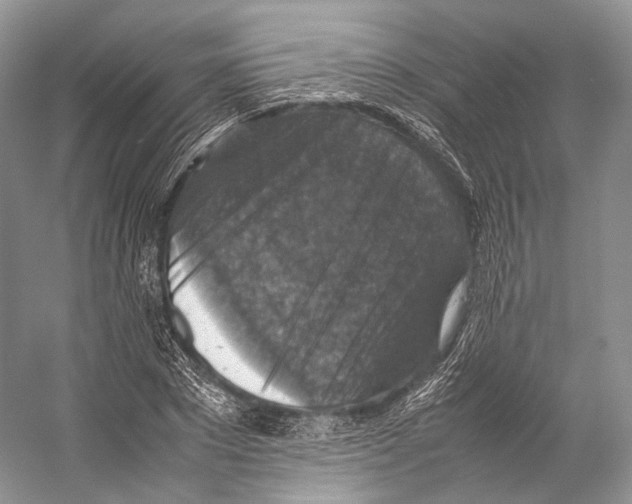 X0000053130881200508081315