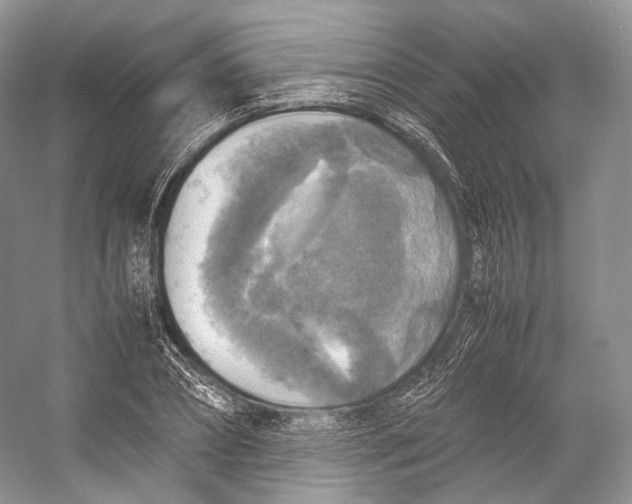X0000053130882200508081315