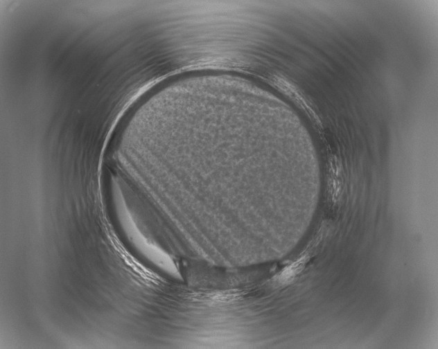 X0000053130884200508081315